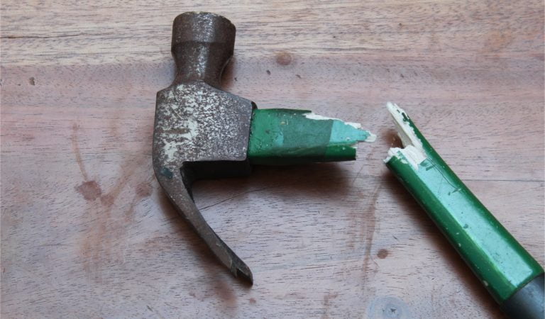 studies vaccine mandates