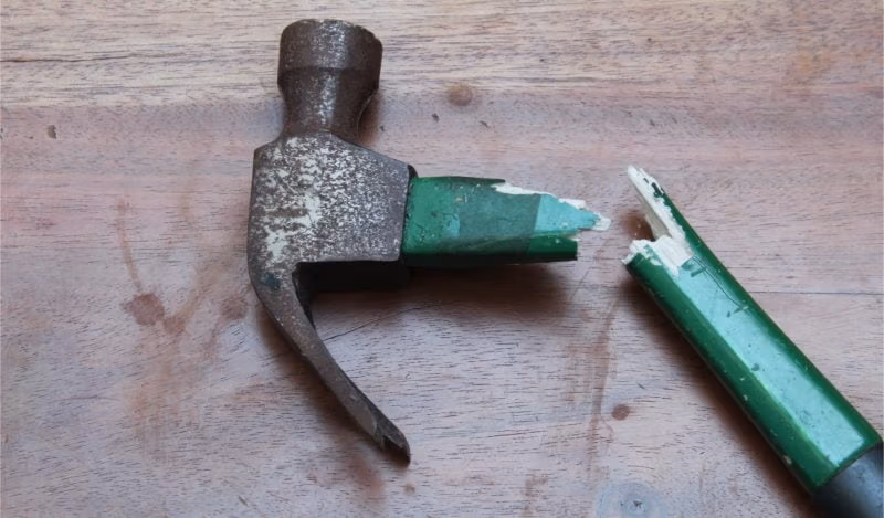 studia i mandati sui vaccini