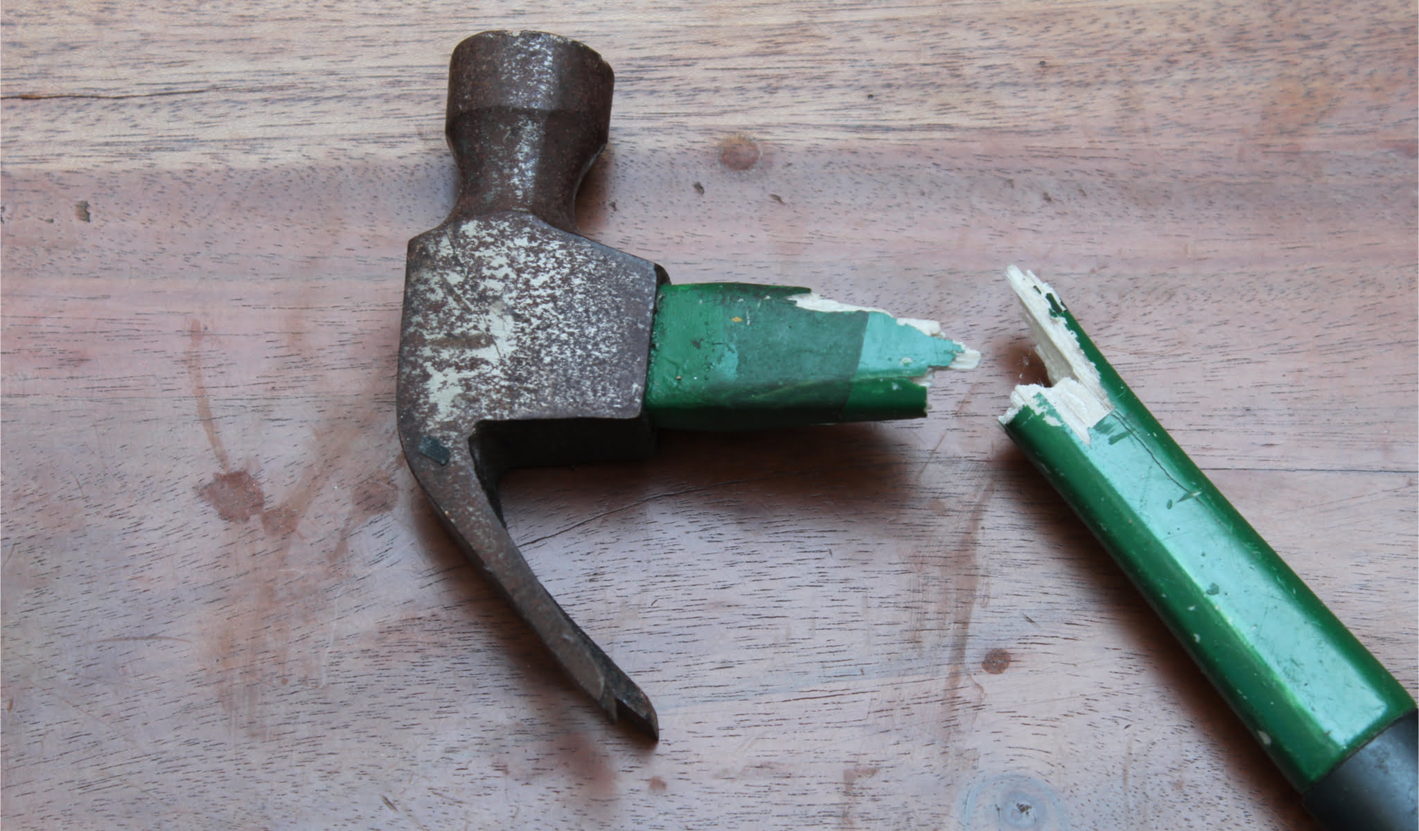 studies vaccine mandates