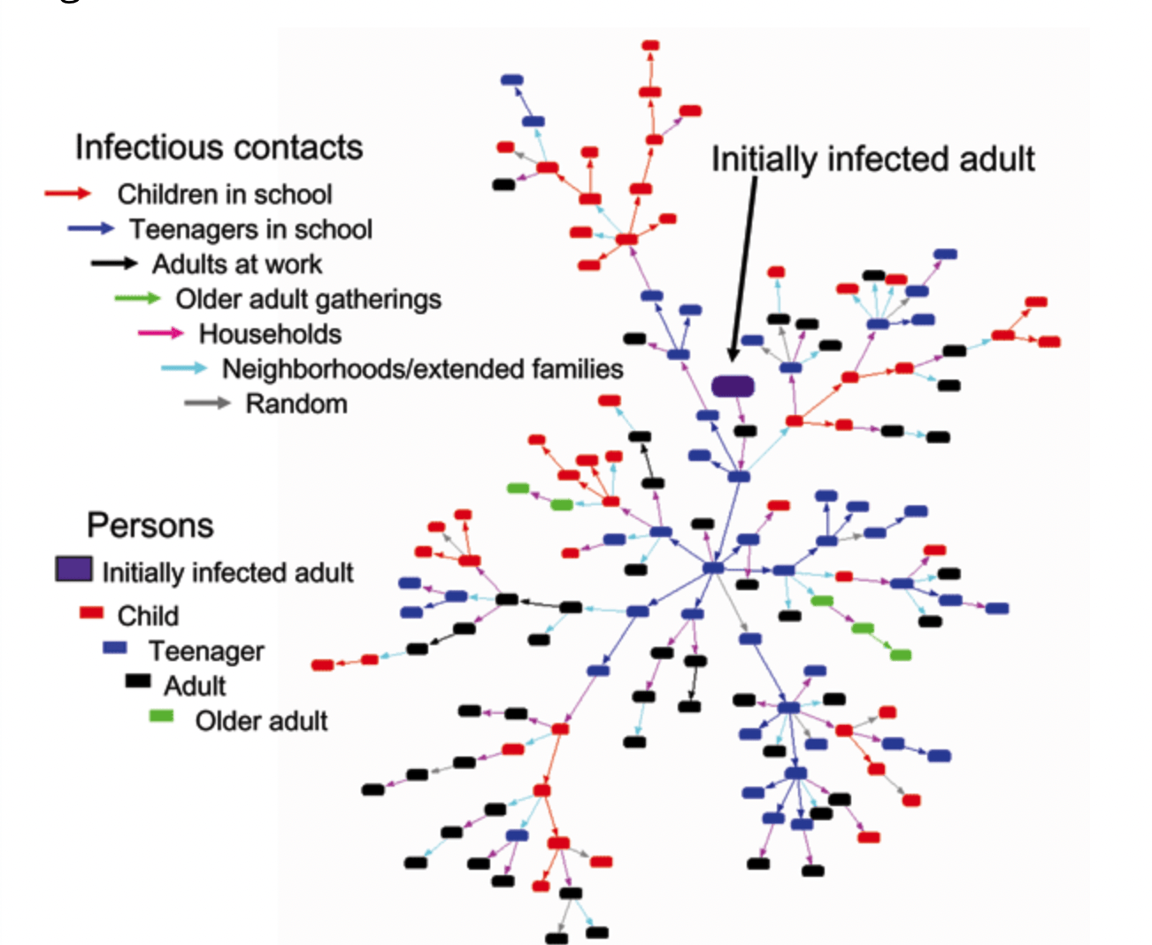 Contacts network. Infectious contacts.