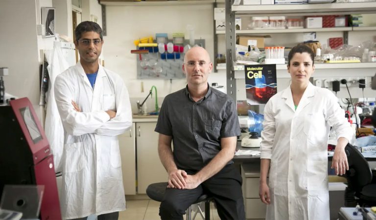 Professor Ehud Qimron