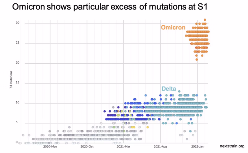 μεταλλάξεις όμικρον