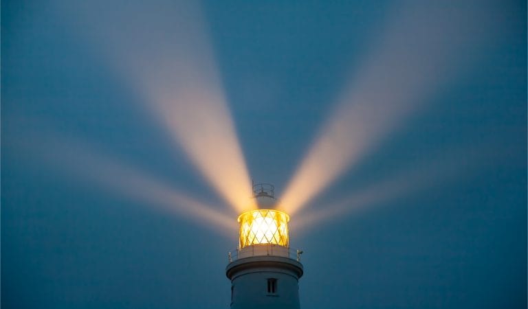 Early Warnings of Non-Covid Mortality