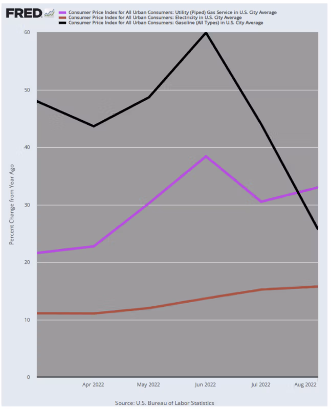 cpi-gas-vs-rørledning