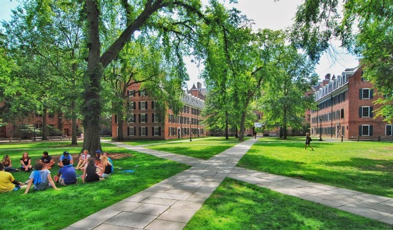 college-mandates-shattered-dreams