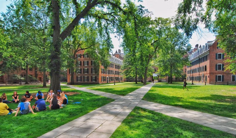 facultate-mandate-vise-zdrobite