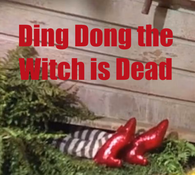 Musk prende il controllo di Twitter