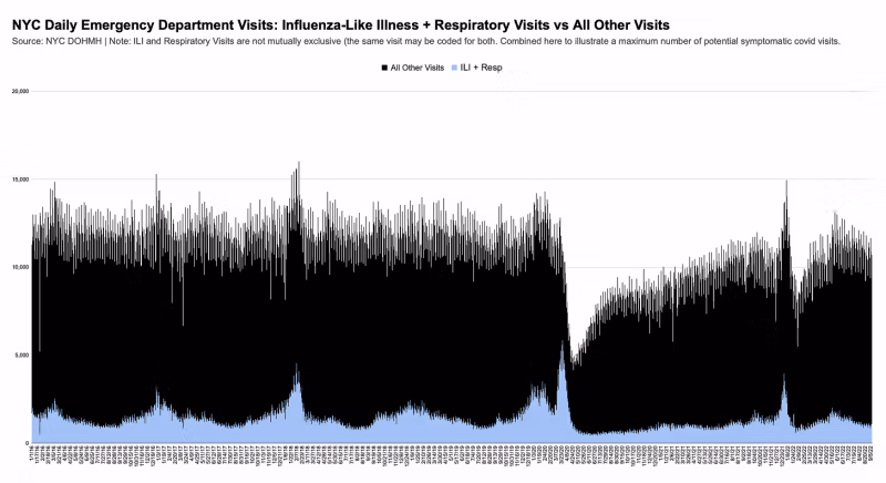 Visitas diarias a la sala de emergencias de la ciudad de Nueva York