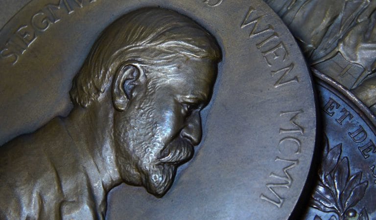 A Freudian Critique of the Pandemic Response