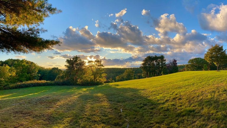 great barrington declaration: my role against mandates