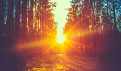 Sunrise curse