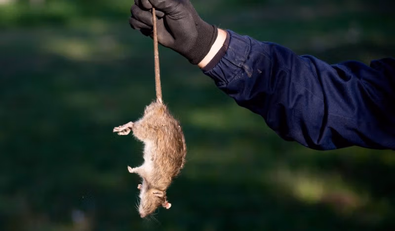 人間性を取り戻す