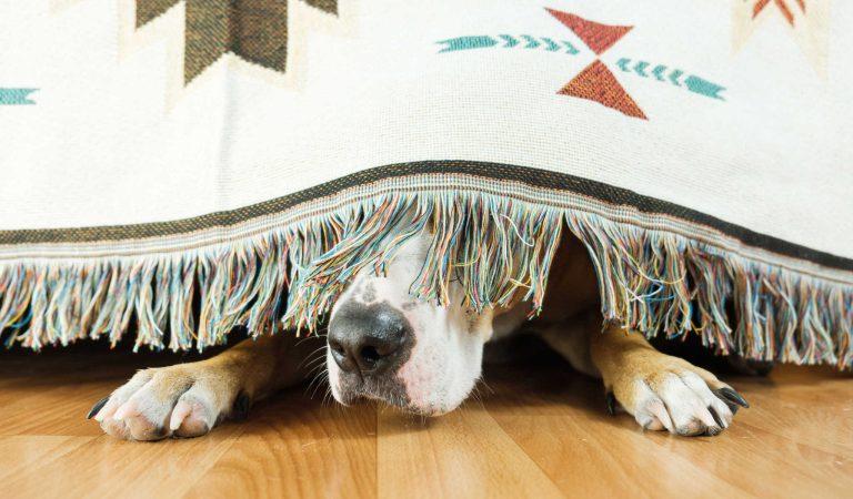 this is not going away