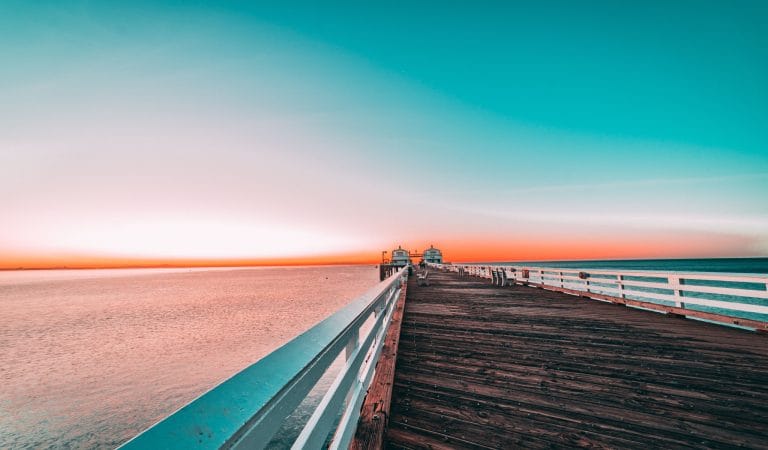 job market and employment