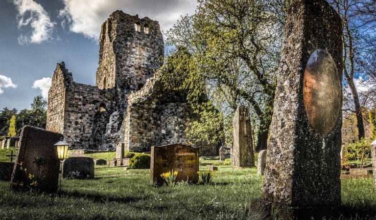 Brownstone Institute - Sweden