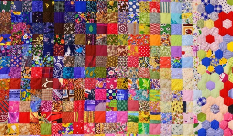 Brownstone Institute - social contract