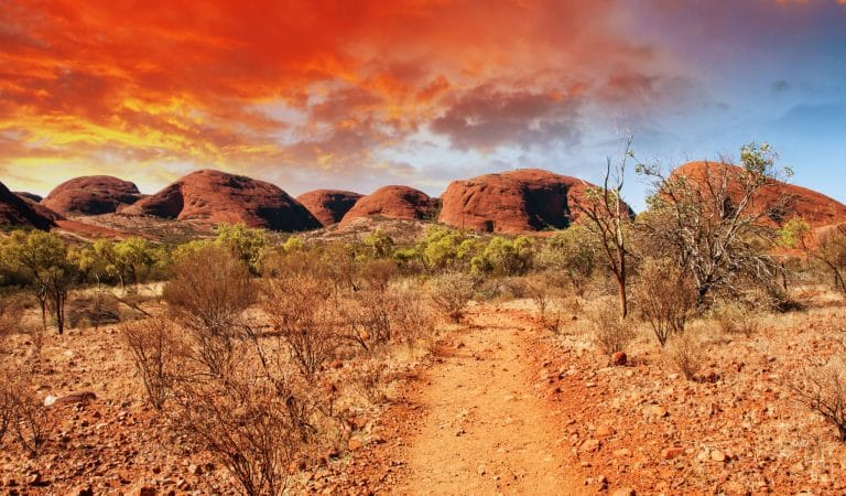 What is the Measure of True Freedom?