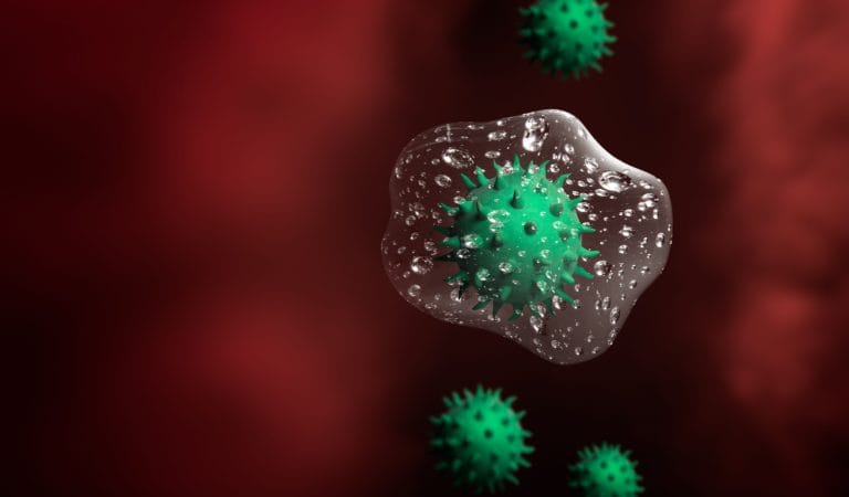 The Immune System and Vaccines are Complicated