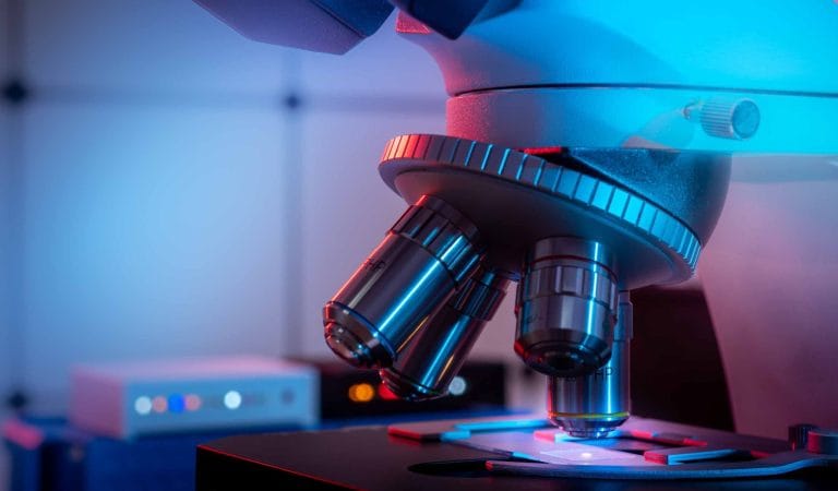 Questioning Lipid Nanoparticles