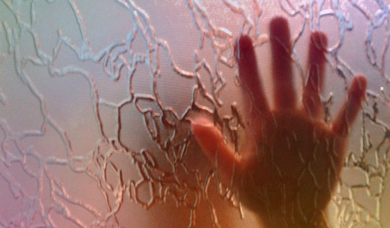 New Study Confirms CDC and Other 'Experts' Hurt Children for Nothing