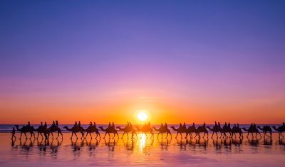 隠者王国の 2022 年のワクチン安全性データからの洞察
