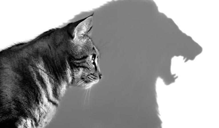 In Praise of Semantic Warfare