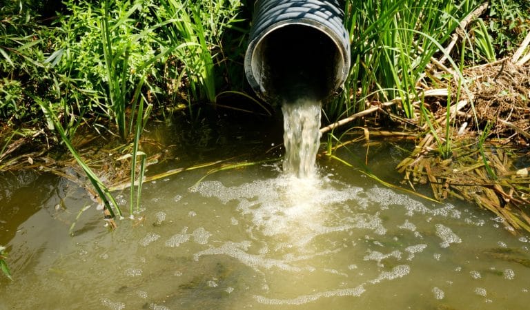 The Federal Government Paid Media Outlets to Promote the Covid Vaccine