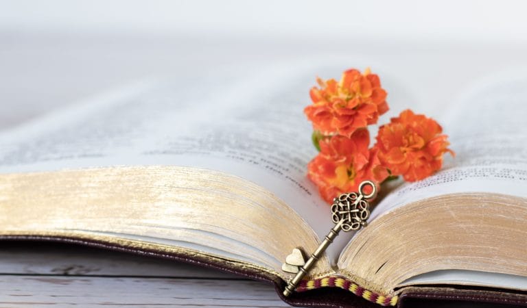 I Fact-Checked the "Fact-Checkers"