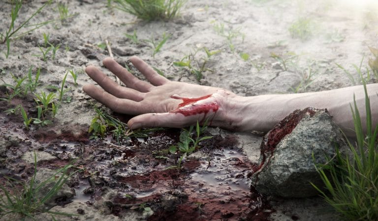 How the Madness of Crowds Wrecked Something Navy