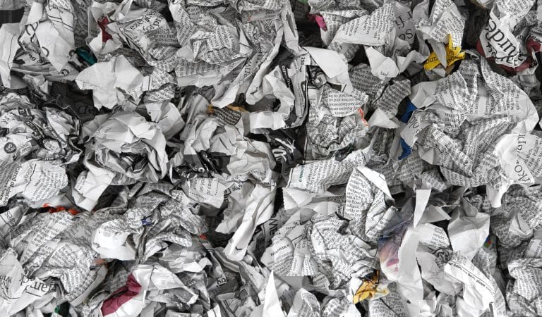 Silence of the Damned