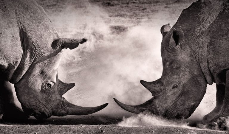 To Whom Should the Right of Speech Belong?