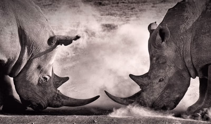 የመናገር መብት የማን መሆን አለበት?