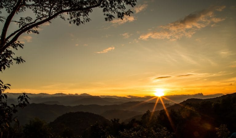 Ten New Year’s Resolutions to Restore Medical Freedom