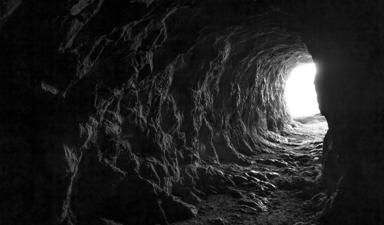 Drug Regulators are Hiding RNA Stability Data