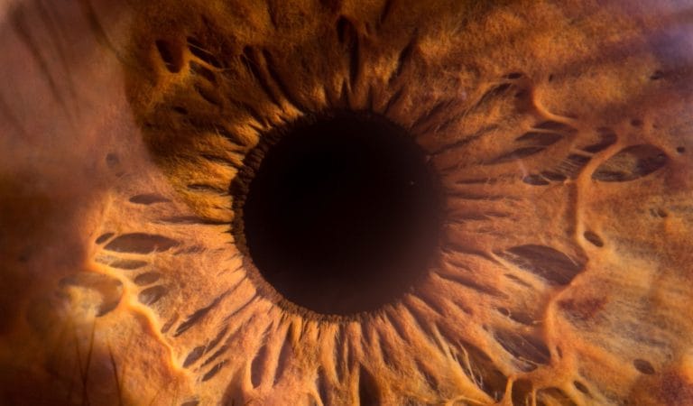 Living Everywhere in a Carceral Surveillance State