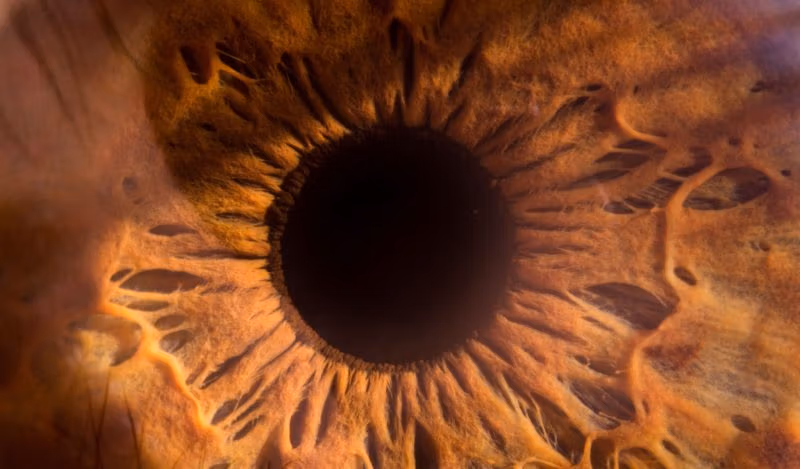 Žít všude ve státě Carceral Surveillance