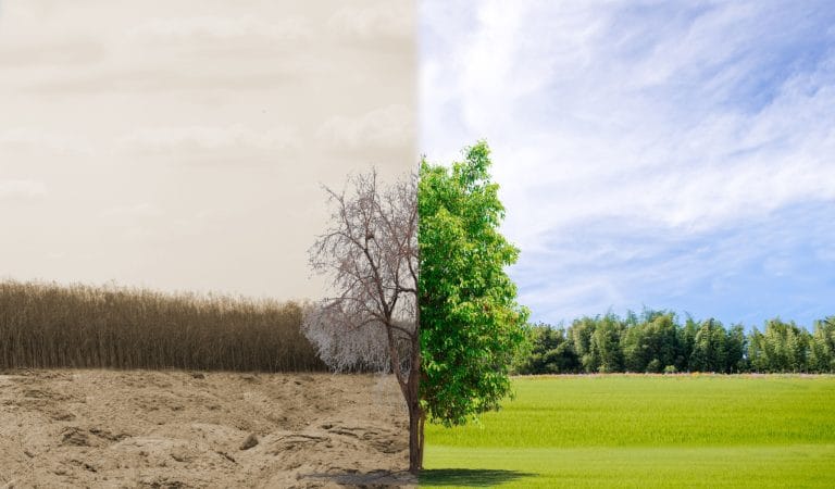 Had You Known, Would You Have Taken the Jab?