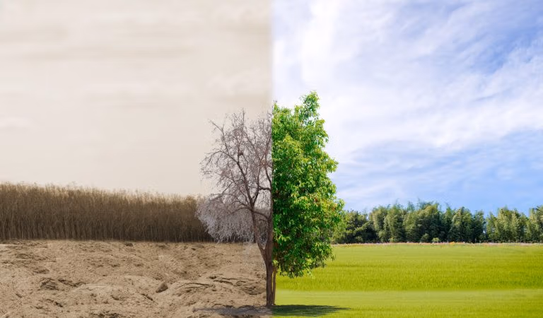 Gdybyś wiedział, czy przyjąłbyś szczepionkę?