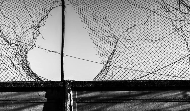 Brownstone Institute - Covid mRNA Vaccines Required No Safety Oversight: Part Two