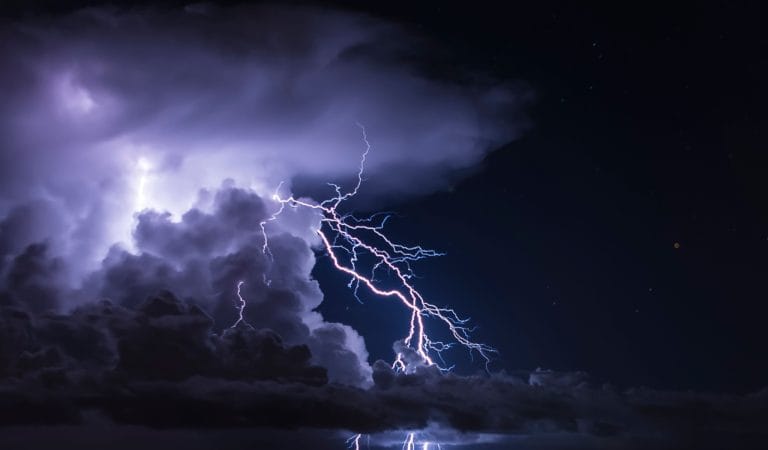 Brownstone Institute - The Legal Batteries That Supercharge the Bureaucratic State