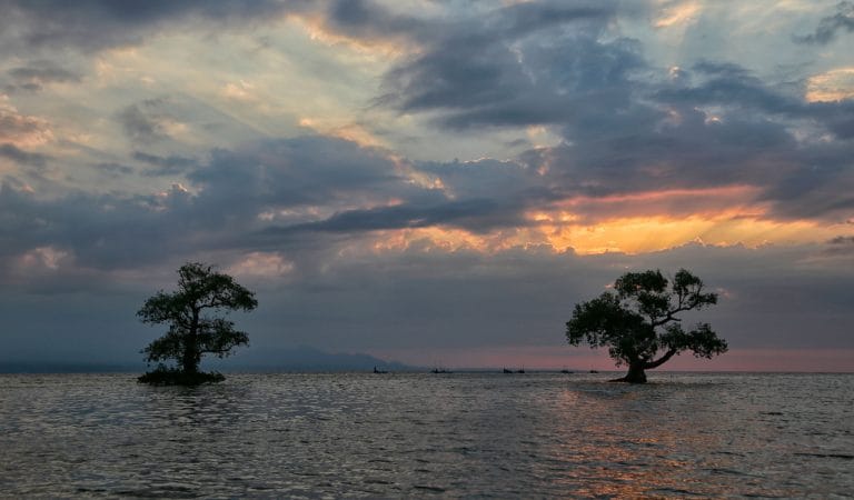 Brownstone Institute - Gonsalves and the Origins of 'Six Feet Apart'