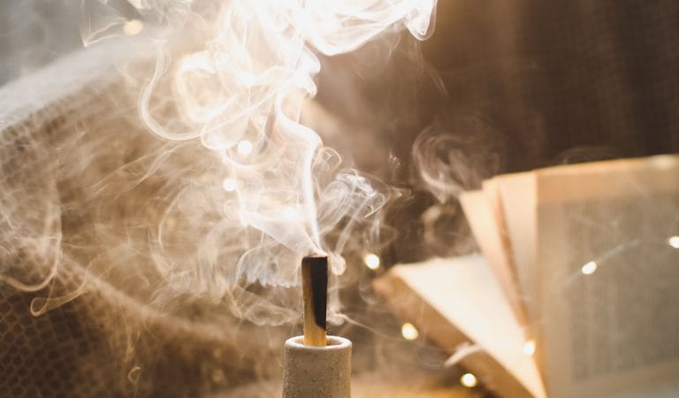 Brownstone Institute - Will We Ever Get the Truth?