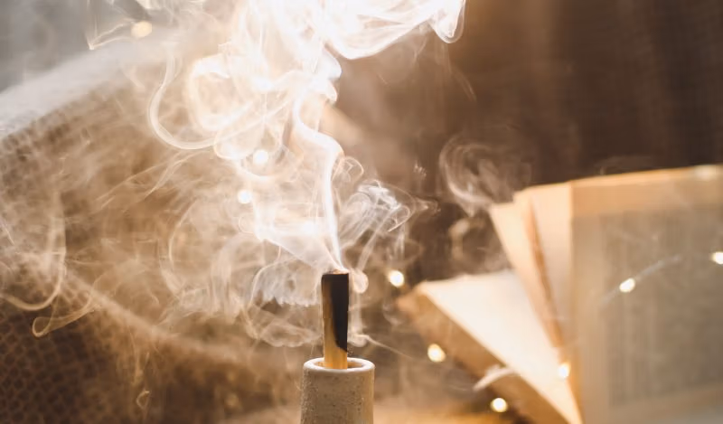 브라운스톤 연구소 - 우리는 진실을 알 수 있을까?