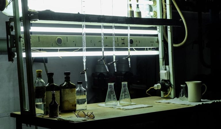 Brownstone Institute - Is This the Man Who Created Covid-19 in Fauci’s U.S. Lab?