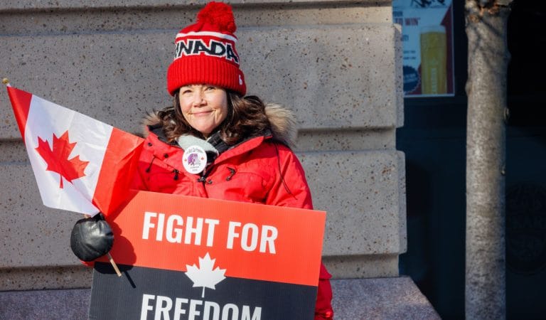 Brownstone Institute - Federal Court Judge Pulls Canada Back from the Brink