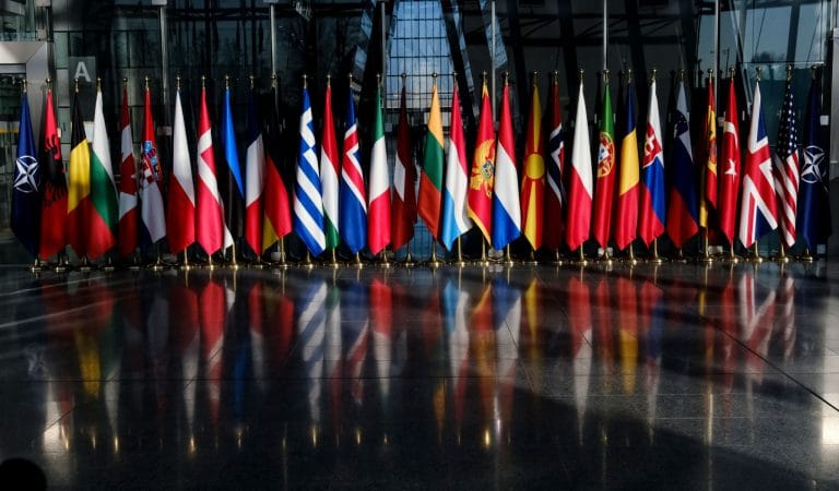 Brownstone Institute - The WHO and Phony International Law