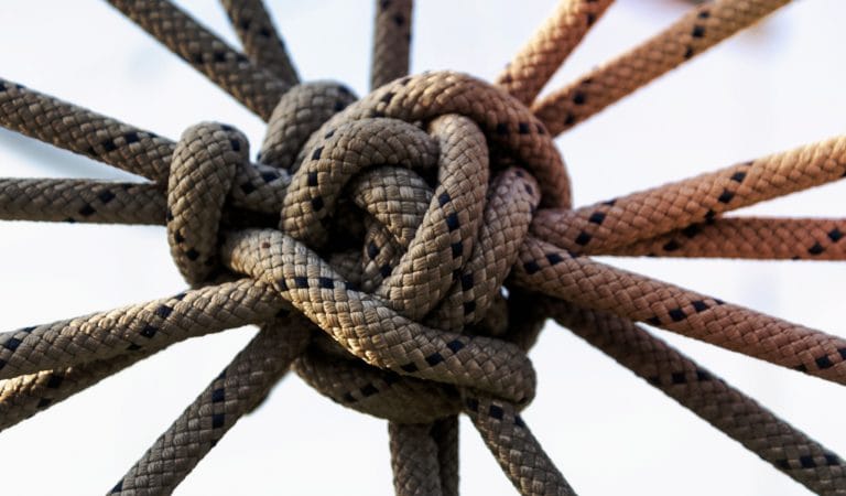 Brownstone Institute - We Can't Ban Our Way to a Better World