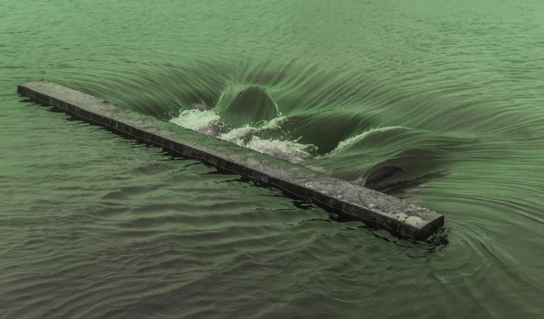 Reflections on the Bret Weinstein Interview