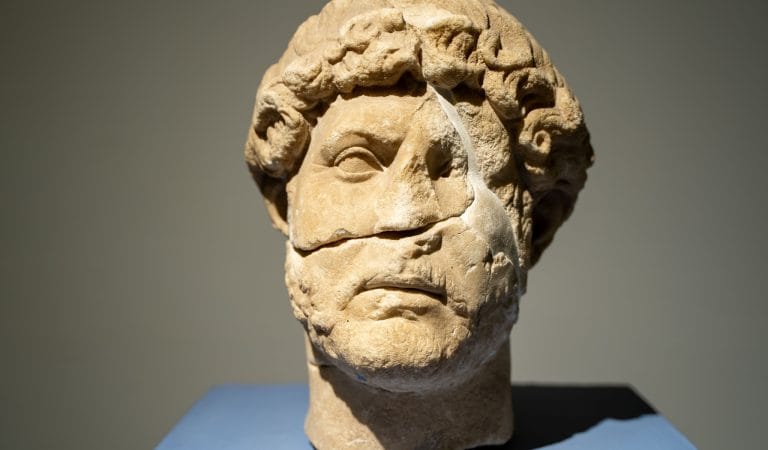 This Vaccine Emperor has no Clothes