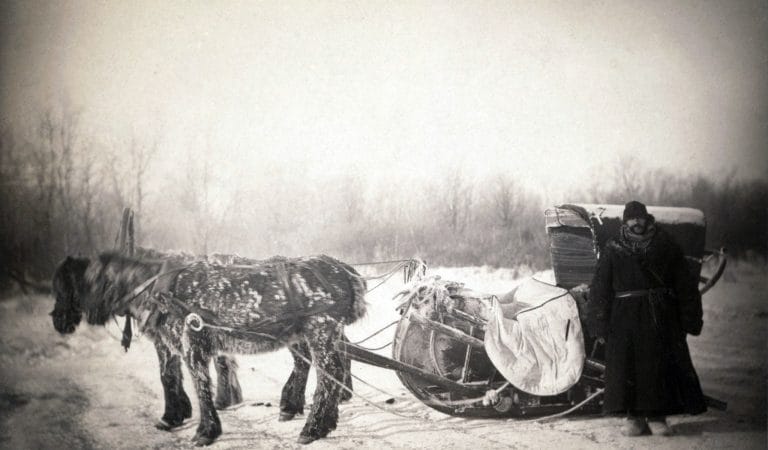 Brownstone Institute - Exiles in Our Own Land